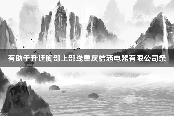 有助于升迁胸部上部线重庆桔涵电器有限公司条
