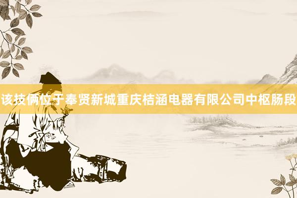 该技俩位于奉贤新城重庆桔涵电器有限公司中枢肠段