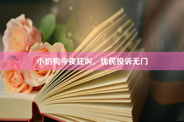 小奶狗今夜狂叫,扰民投诉无门