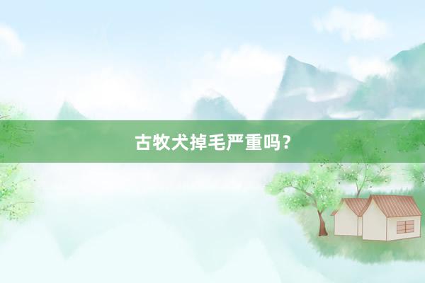 古牧犬掉毛严重吗？